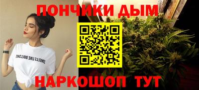 гашик Бузулук