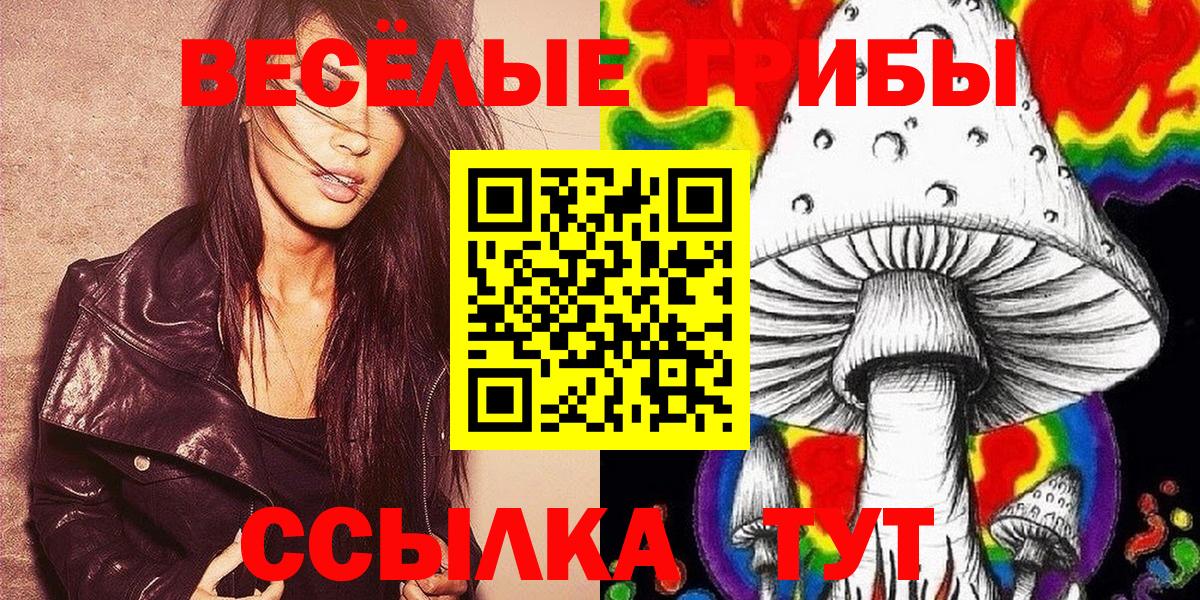 Галлюциногенные грибы Cubensis Мценск